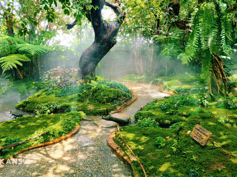 Khám phá phong cách vườn nhiệt đới - KANSO Landscape