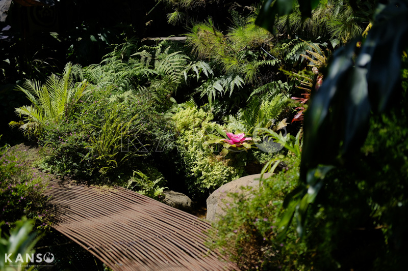 Khám phá phong cách vườn nhiệt đới - KANSO Landscape