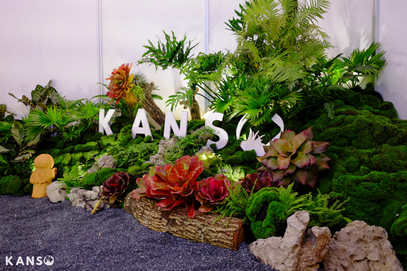 Hành trình mang thiên nhiên đến HawaExpo2024 - KANSO Land Hành trình mang thiên nhiên đến HawaExpo2024 - KANSO Landscape