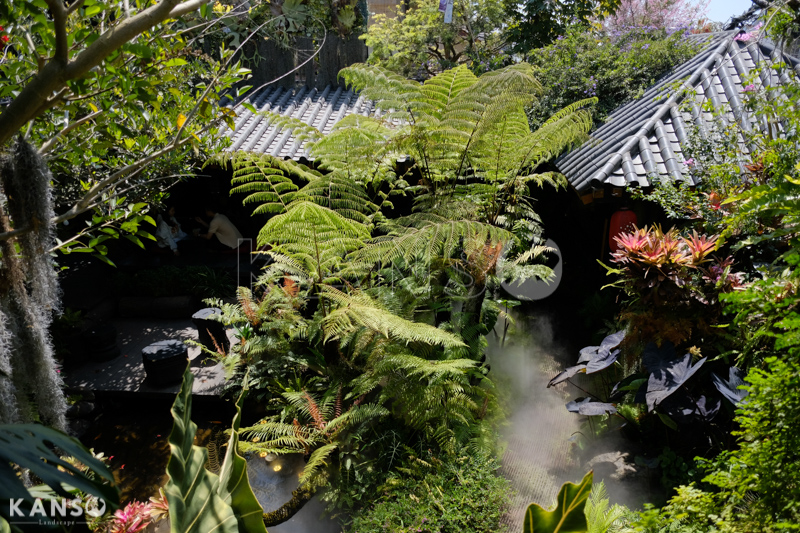 Kiến thức về cây cảnh trong thiết kế cảnh quan - KANSO Landscape