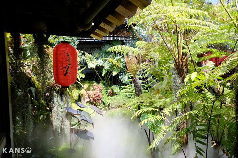 Kiến thức về cây cảnh trong thiết kế cảnh quan - KANSO Landscape