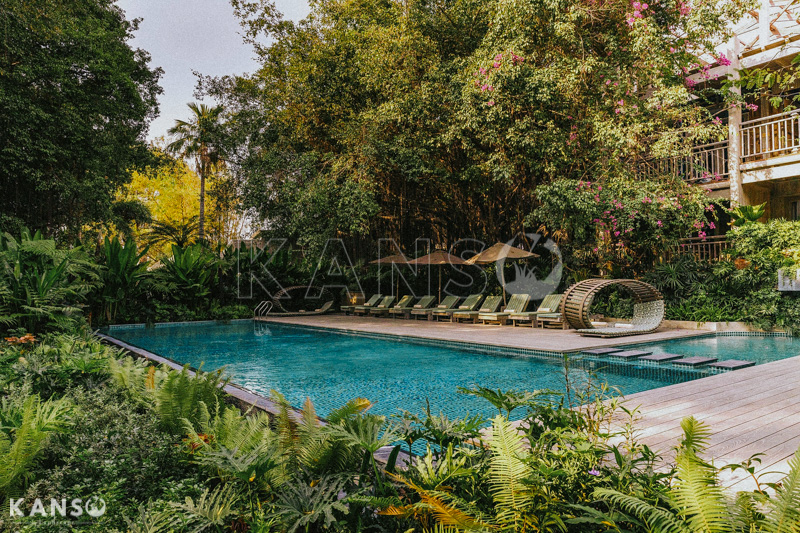 Kiến thức về cây cảnh trong thiết kế cảnh quan - KANSO Landscape