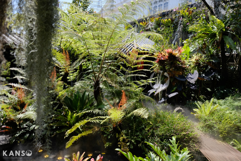 Kiến thức về cây cảnh trong thiết kế cảnh quan - KANSO Landscape