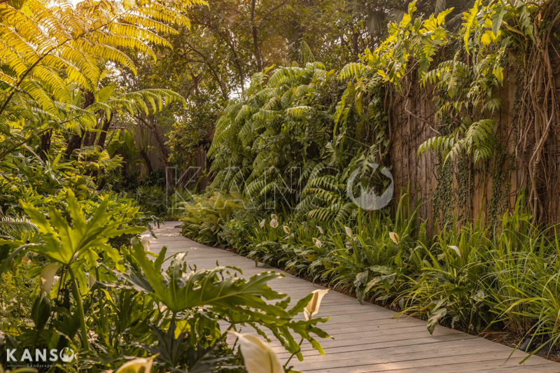 Kiến thức về cây cảnh trong thiết kế cảnh quan - KANSO Landscape