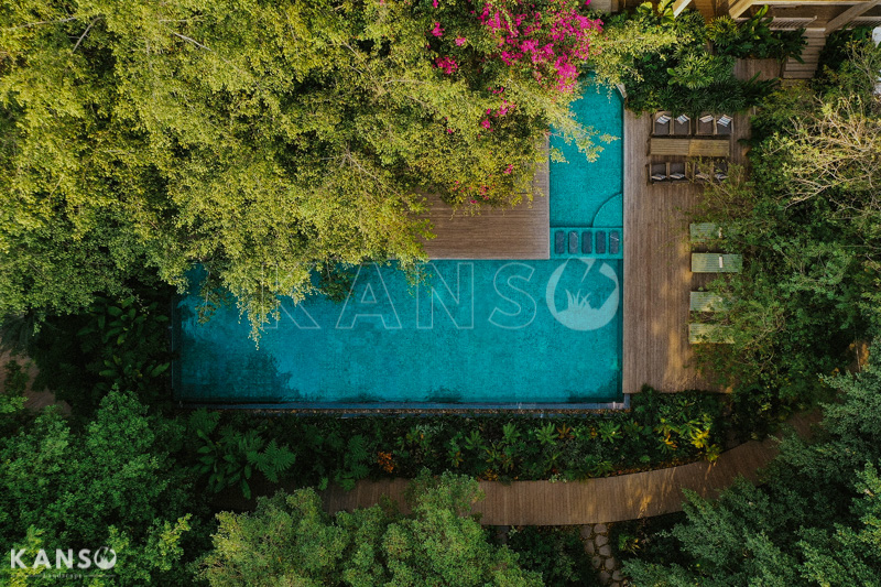 Kiến thức về cây cảnh trong thiết kế cảnh quan - KANSO Landscape