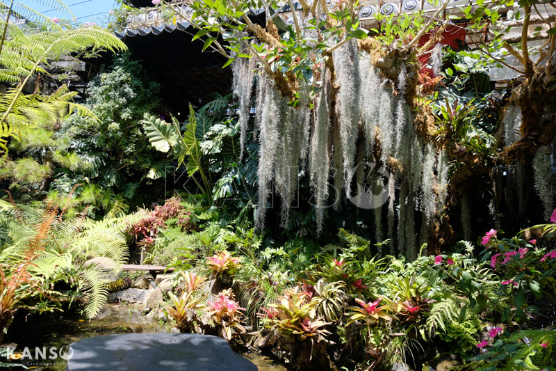 Khám phá phong cách vườn nhiệt đới - KANSO Landscape