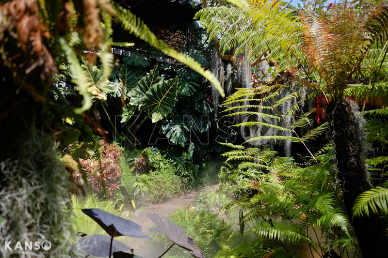 Khám phá phong cách vườn nhiệt đới - KANSO Landscape