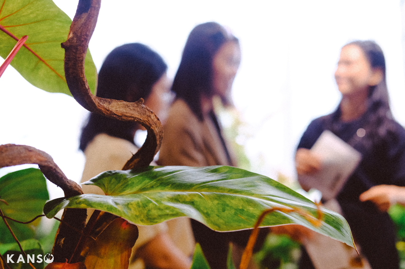 Tận hưởng tuần lễ SEE+ Design Fair 2023 - KANSO Landsca Tận hưởng tuần lễ SEE+ Design Fair 2023 - KANSO Landscape