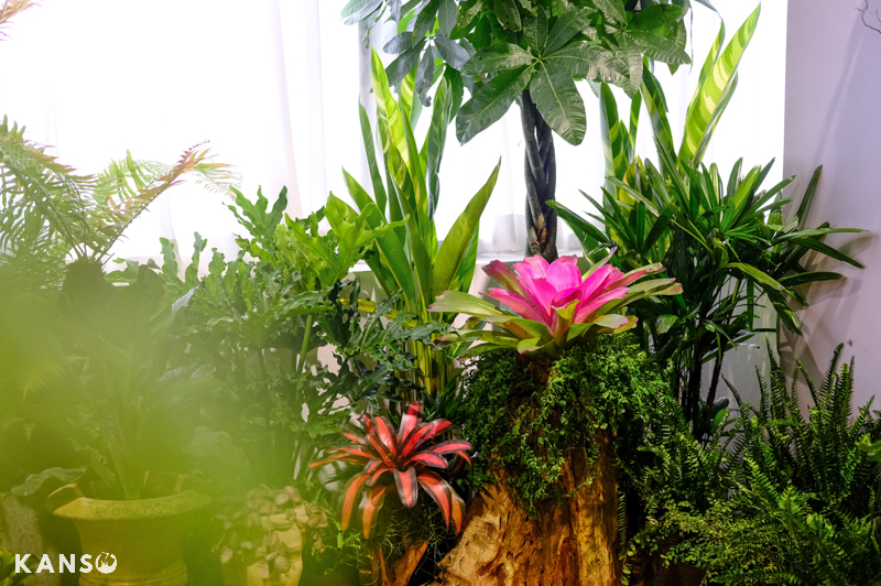 Tận hưởng tuần lễ SEE+ Design Fair 2023 - KANSO Landsca Tận hưởng tuần lễ SEE+ Design Fair 2023 - KANSO Landscape